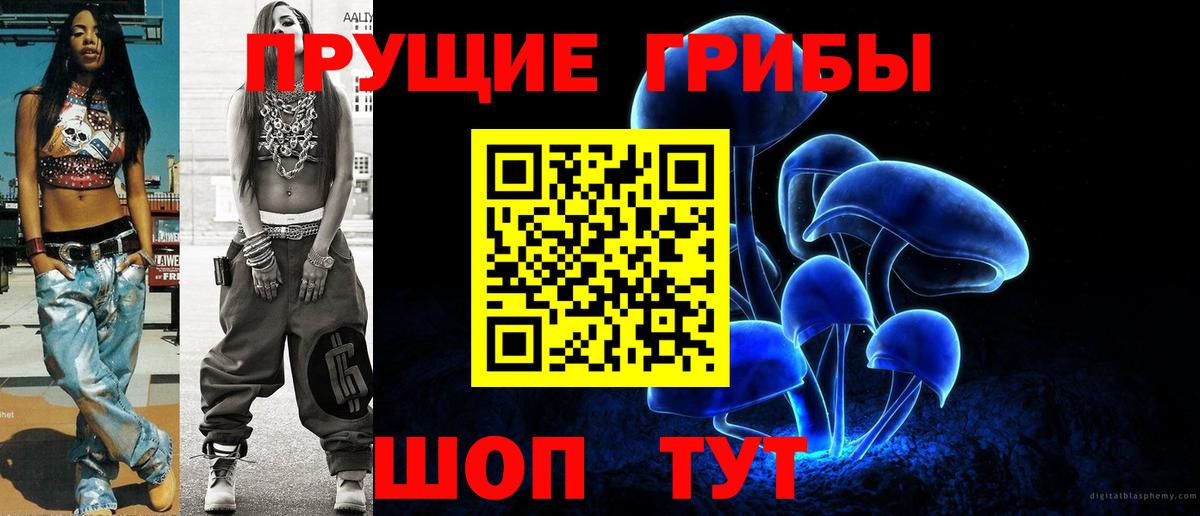 Балтийск  Псилоцибиновые грибы Cubensis  Вход с VPN 