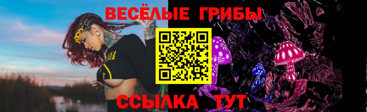Псилоцибиновые грибы Cubensis Балтийск